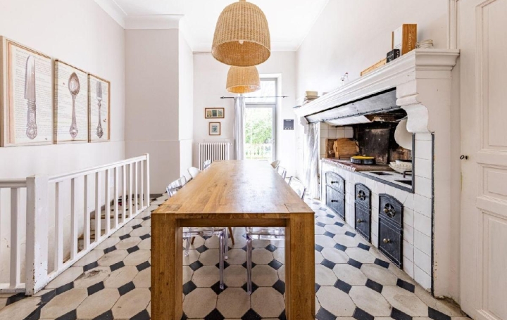 Maison AIGUES-VIVES (30670)  233 m2 795 000 € 