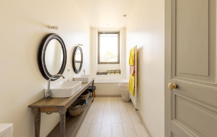 Maison AIGUES-VIVES (30670)  233 m2 795 000 € 