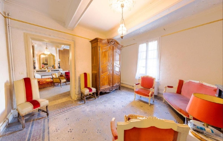 Maison AIGUES-VIVES (30670)  371 m2 345 000 € 