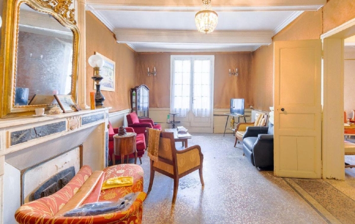 Maison AIGUES-VIVES (30670)  371 m2 345 000 € 