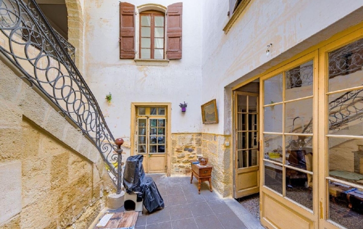 Maison AIGUES-VIVES (30670)  371 m2 345 000 € 