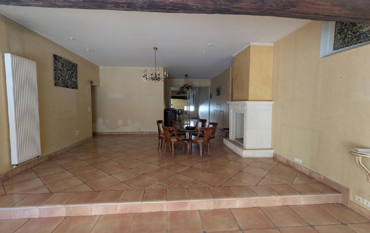 Maison AIGUES-VIVES (30670)  311 m2 373 000 € 