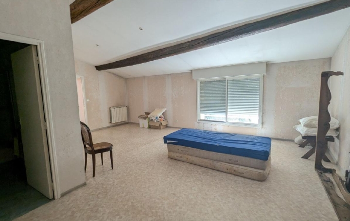 Maison AIGUES-VIVES (30670)  311 m2 373 000 € 