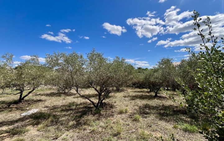 Terrain AUBAIS (30250)   199 000 € 