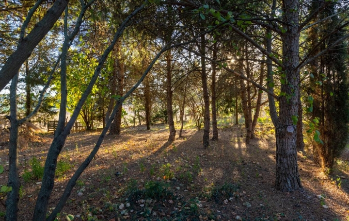 Maison AIGUES-VIVES (30670)  200 m2 545 000 € 