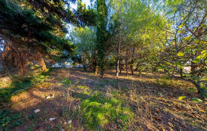 Maison AIGUES-VIVES (30670)  200 m2 545 000 € 