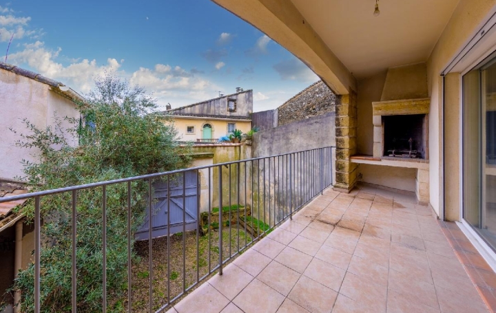 Maison AIGUES-VIVES (30670)  220 m2 450 000 € 