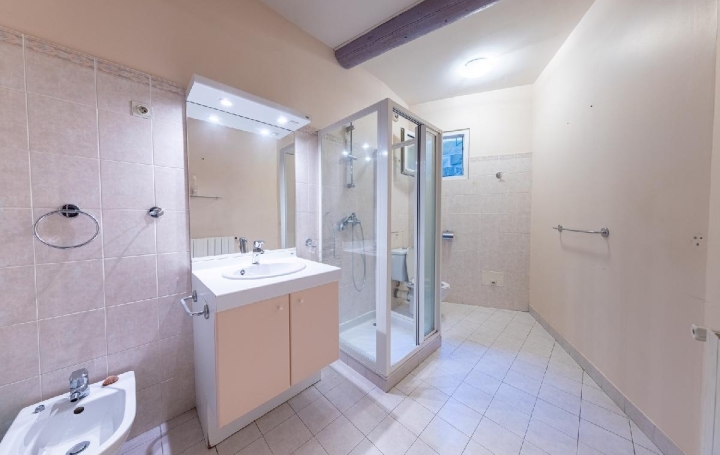 Maison AIGUES-VIVES (30670)  220 m2 450 000 € 