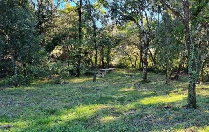 Réseau Immo-diffusion : Terrain  AUJARGUES   168 000 € 