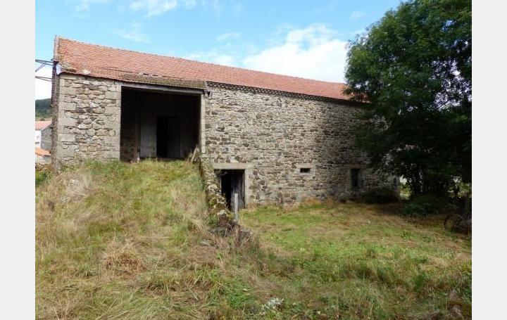 Réseau Immo-diffusion : Autre  LE PLAGNAL   40 000 € 