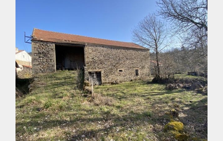 Réseau Immo-diffusion : Autre  LE PLAGNAL   39 000 € 