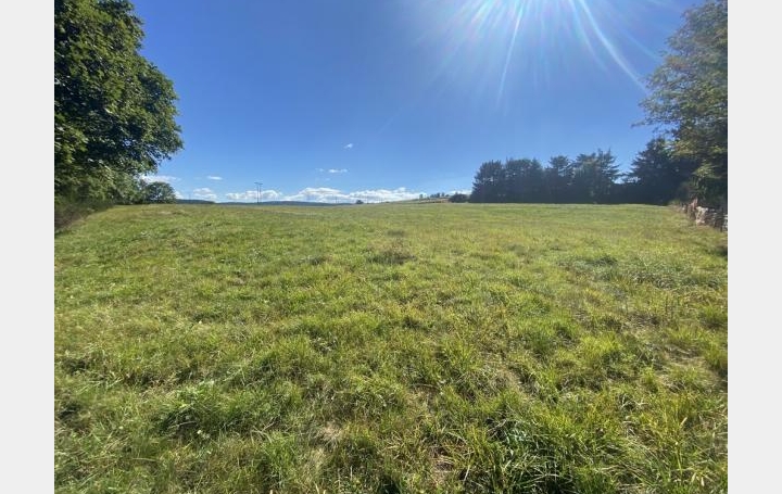 Réseau Immo-diffusion : Terrain  ISSANLAS  2 261 m2 54 000 € 