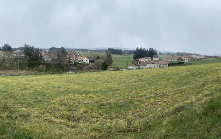Réseau Immo-diffusion : Terrain  MONTFAUCON-EN-VELAY  4 495 m2 109 000 € 