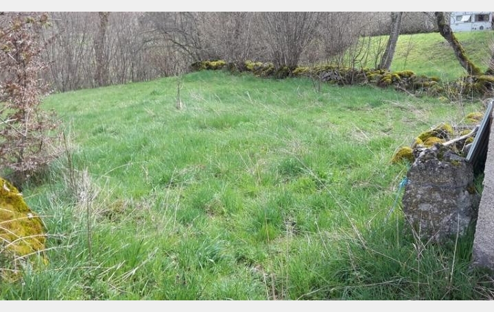 Réseau Immo-diffusion : Terrain  SAINT-PAUL-LE-FROID   5 500 € 