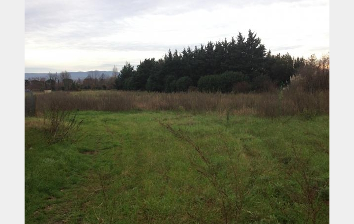 Réseau Immo-diffusion : Terrain  SAINT-GEORGES-LES-BAINS   87 500 € 