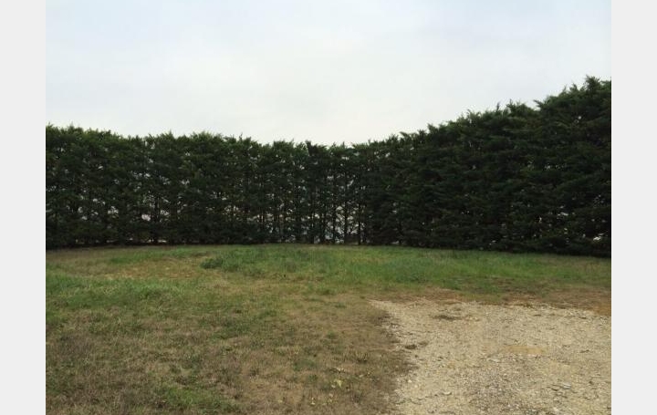 Réseau Immo-diffusion : Terrain  MONTMEYRAN   102 000 € 