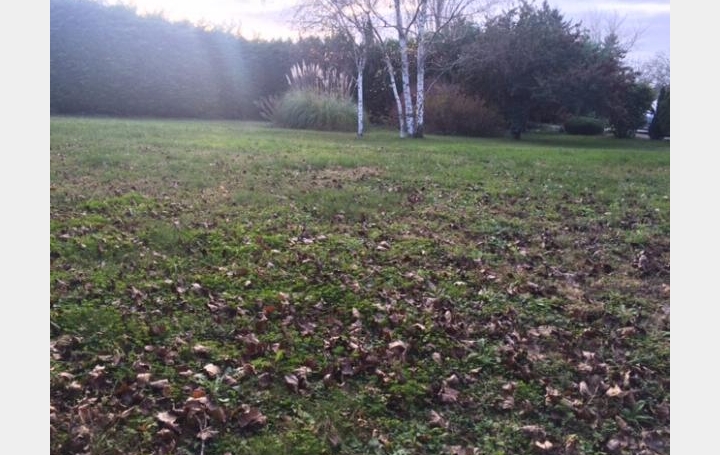 Réseau Immo-diffusion : Terrain  GRANGES-LES-BEAUMONT   105 000 € 