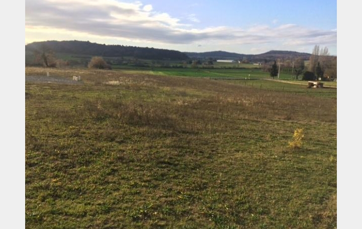 Réseau Immo-diffusion : Terrain  MONTELEGER   250 000 € 