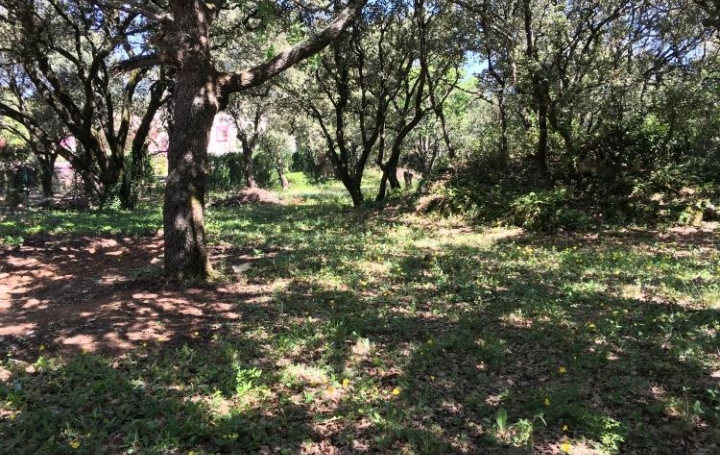 Réseau Immo-diffusion : Terrain  SAINT-RESTITUT  2 500 m2 185 000 € 