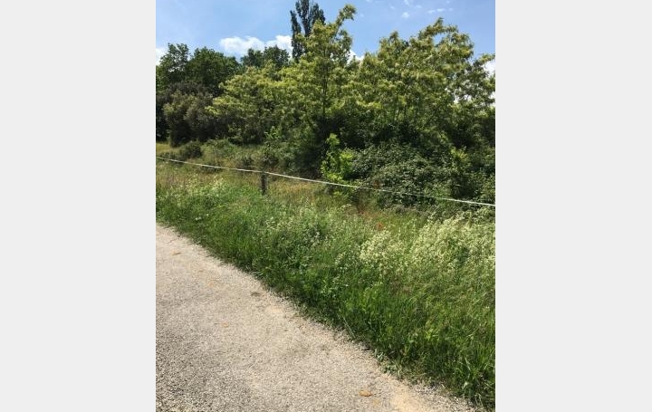 Réseau Immo-diffusion : Terrain  GRANE   139 000 € 