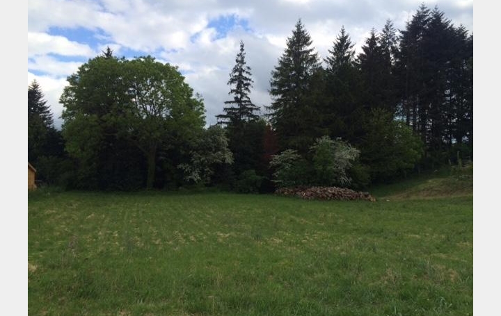 Réseau Immo-diffusion : Terrain  ALBOUSSIERE   58 500 € 