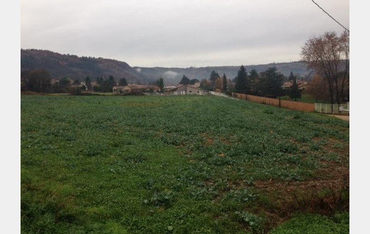 Réseau Immo-diffusion : Terrain  SAINT-BARTHELEMY-DE-VALS   49 000 € 