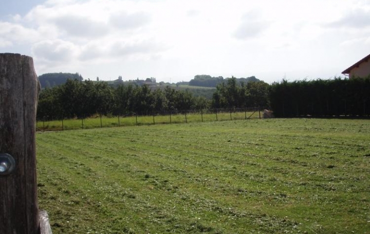 Réseau Immo-diffusion : Terrain  SAINT-ANTOINE-L'ABBAYE   74 000 € 