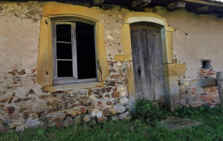 Maison SAINT-NIZIER-SOUS-CHARLIEU (42190)  250 m2 89 000 € 