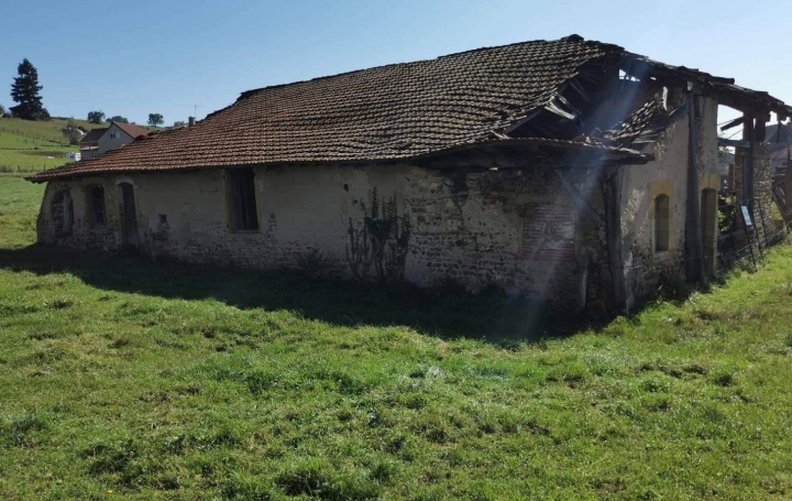 Maison SAINT-NIZIER-SOUS-CHARLIEU (42190)  250 m2 89 000 € 