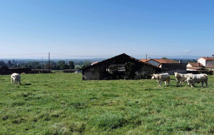 Maison SAINT-NIZIER-SOUS-CHARLIEU (42190)  250 m2 89 000 € 