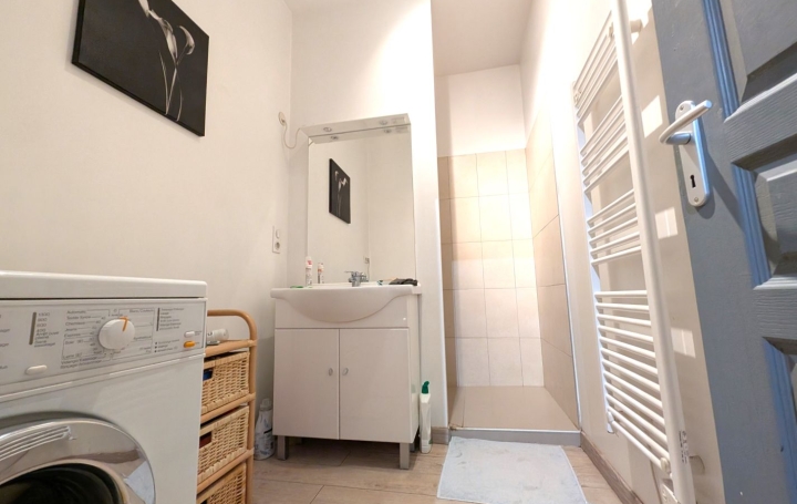 Immeuble ROANNE (42300)  132 m2 195 000 € 