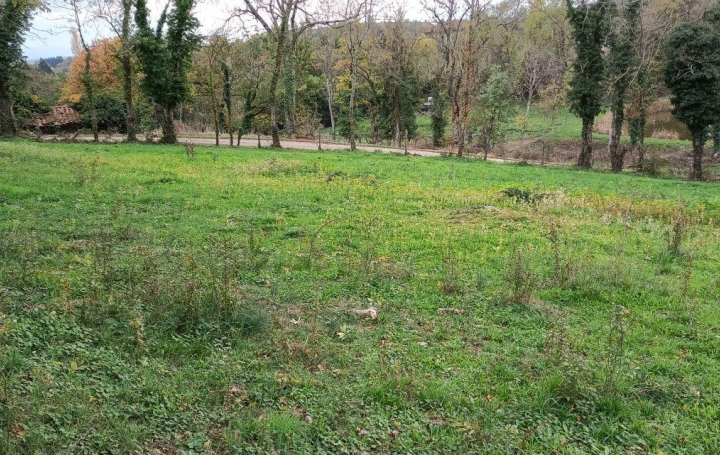 Terrain CREMEAUX (42260)   50 000 € 