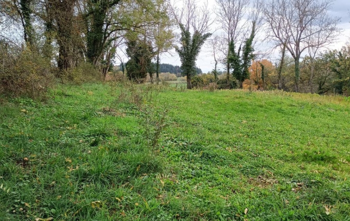 Terrain CREMEAUX (42260)   50 000 € 