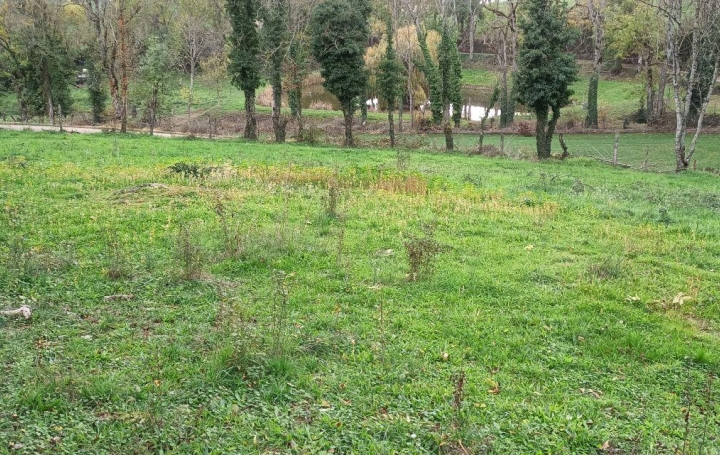 Terrain CREMEAUX (42260)   50 000 € 