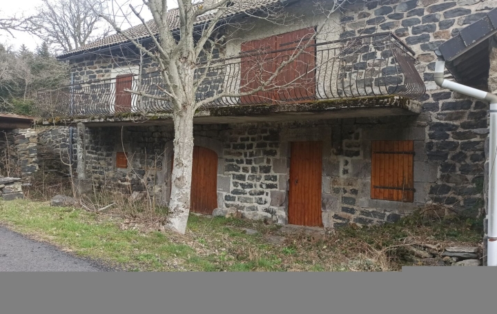 Maison ARAULES (43200)  106 m2 129 000 € 