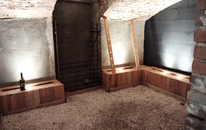 Propriété SAINT-CYPRIEN (42160)  254 m2 549 000 € 