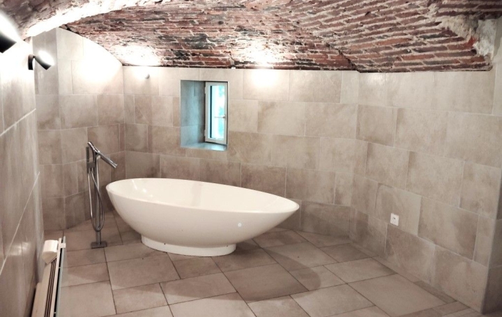 Propriété SAINT-CYPRIEN (42160)  254 m2 549 000 € 