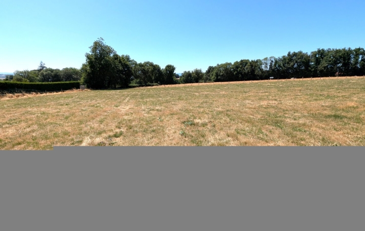 Terrain PRADINES (42630)   70 000 € 