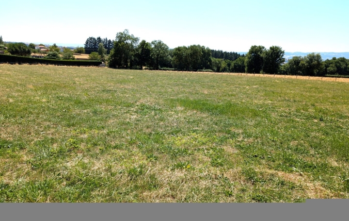 Terrain PRADINES (42630)   70 000 € 