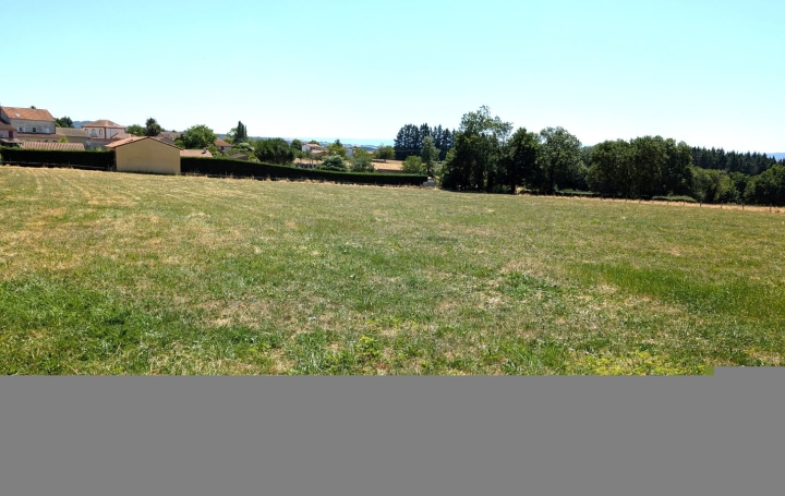 Terrain PRADINES (42630)   70 000 € 