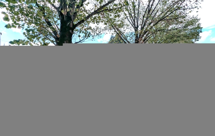 Maison ROANNE (42300)  113 m2 145 000 € 