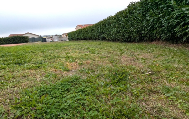 Terrain BALBIGNY (42510)   50 000 € 
