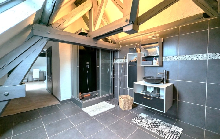 Maison SAINT-LEGER-SUR-ROANNE (42155)  310 m2 349 000 € 