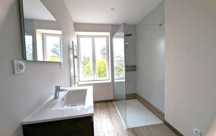 Maison SAINT-LEGER-SUR-ROANNE (42155)  310 m2 349 000 € 