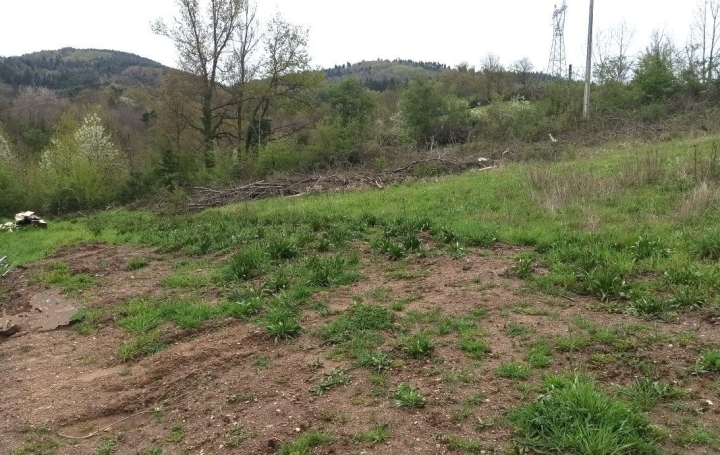 Terrain LE CHAMBON-FEUGEROLLES (42500) 0 m<sup>2</sup> 89 000 € 