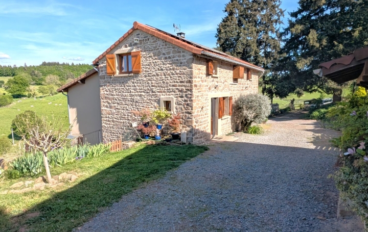 Maison FOURNEAUX (42470)  130 m2 285 000 € 