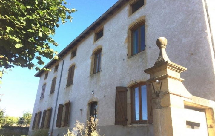 Réseau Immo-diffusion : Maison  JARNOSSE  243 m2 99 000 € 