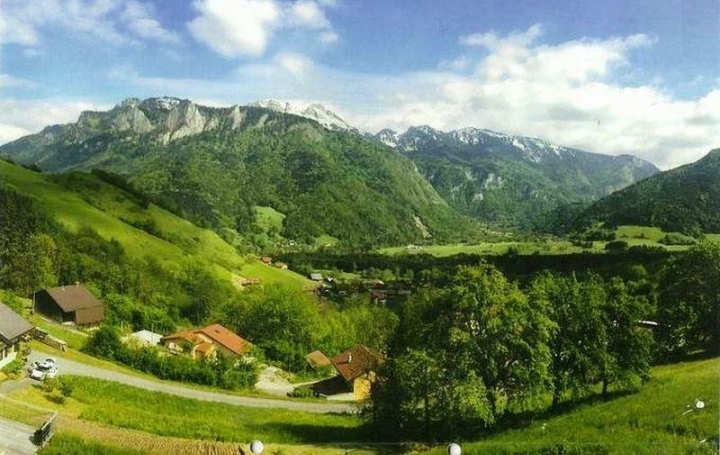 Réseau Immo-diffusion : Terrain  VAILLY   95 000 € 