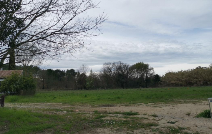 Réseau Immo-diffusion : Terrain  SAUSSINES  602 m2 149 000 € 