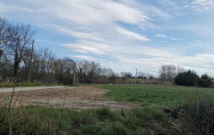 Réseau Immo-diffusion : Terrain  SAUSSINES  683 m2 168 000 € 